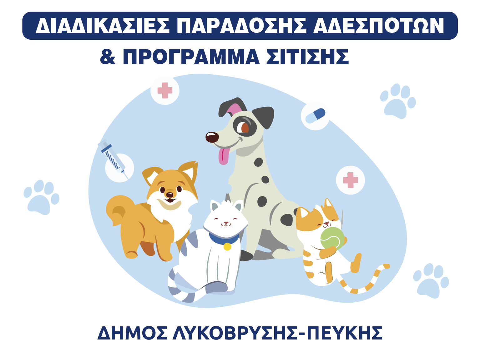 Διαδικασίες για παράδοση αδέσποτων ζώων & πρόγραμμα σίτισης