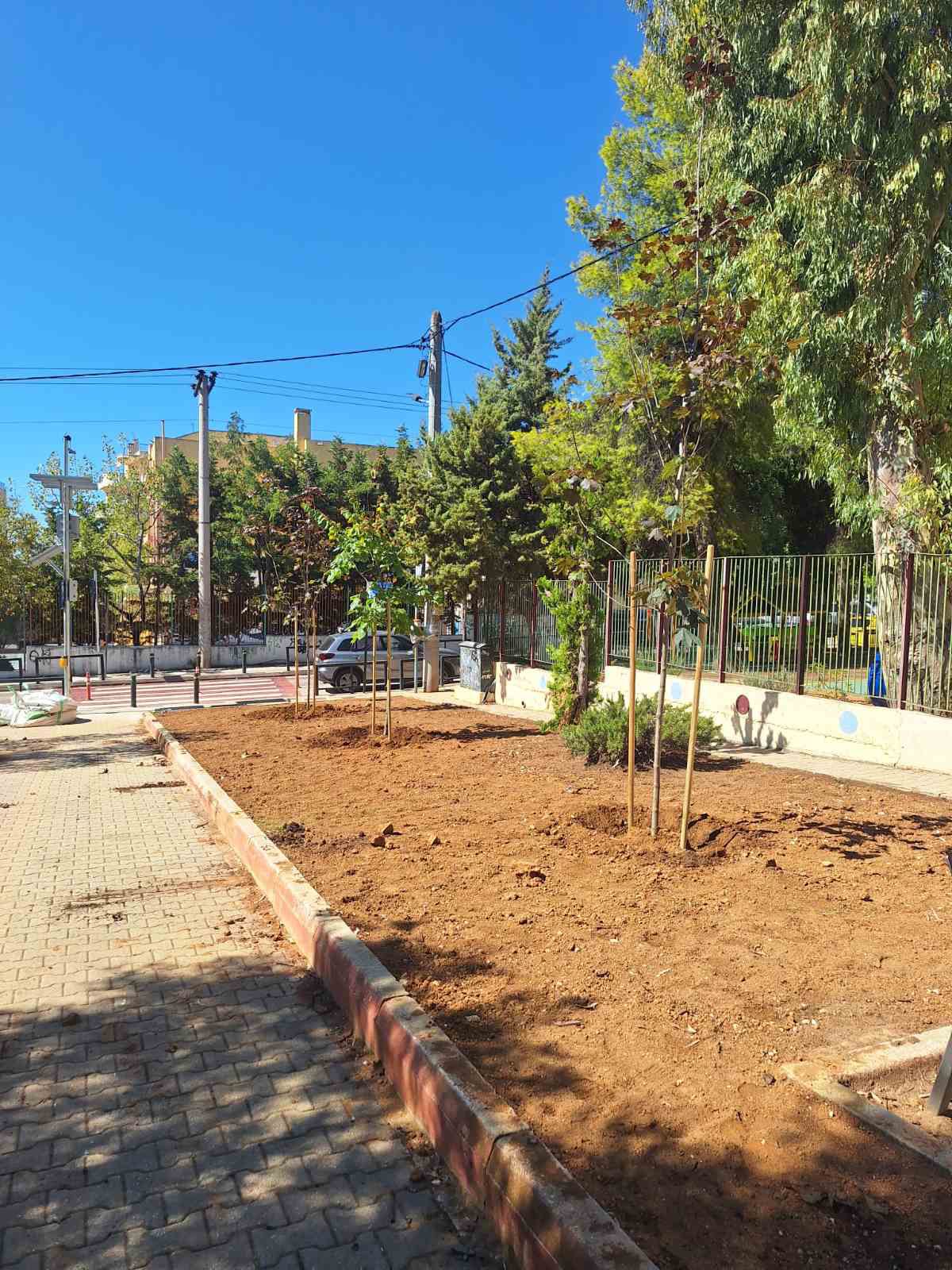 Φύτευση δεκάδων θάμνων και δέντρων στην οδό Καλύμνου