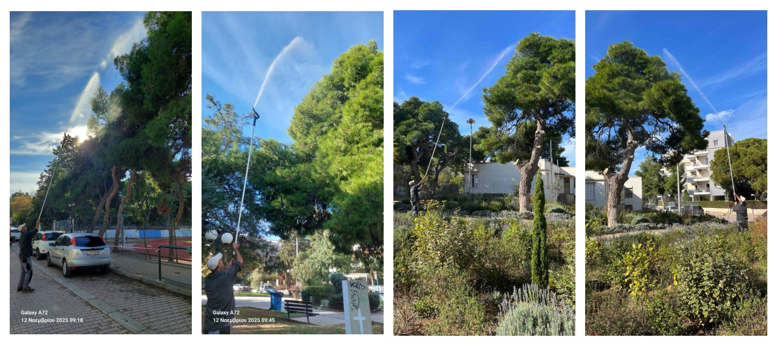 Σε εξέλιξη εργασίες ψεκασμού των πεύκων στον Δήμο Λυκόβρυσης-Πεύκης