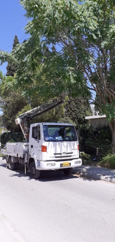 Κλαδεύονται δέντρα και απελευθερώνονται καλώδια φωτισμού από συνεργεία του ΔΕΔΔΗΕ